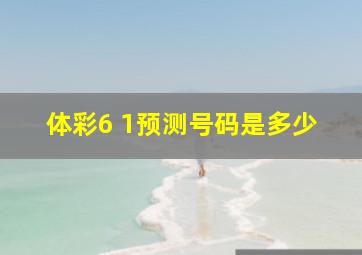 体彩6 1预测号码是多少